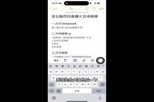 冰冰老师·普通人如何利用Deepseek创业