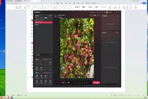 云顶联盟·无人直播实战（更新11月）