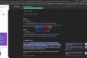 大卫·2025谷歌SEO流量打造课（更新11月）