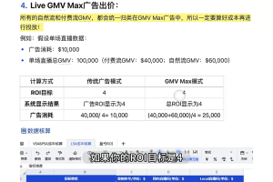 雅玲老师·2025TikTok广告投放实战营