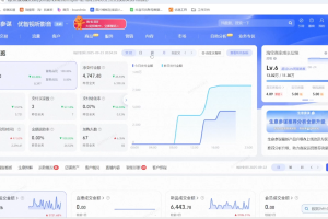 幕思城·淘宝培训VIP课程（更新1【2025年11月18日】全站推广实操必修课月）