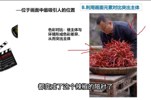 大光老师·三农短视频赋能商业模式视频课（更新）